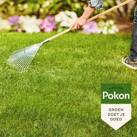 Gazonm+kalk 3-in-1 15m2 - afbeelding 4