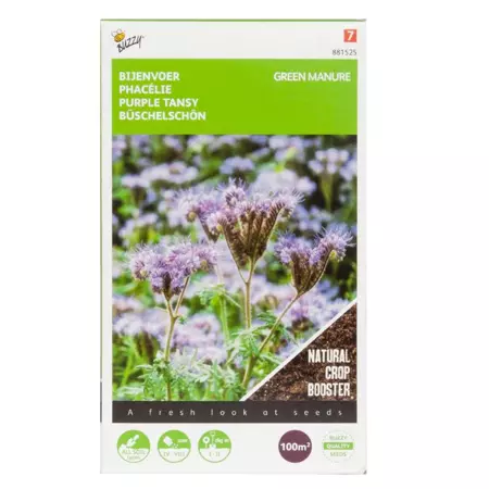 Groenbemester phacelia 100g - afbeelding 1