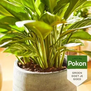 Groene planten 500ml - afbeelding 4