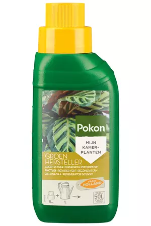 Groenhersteller 250ml - afbeelding 1