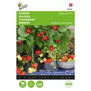 Hangaardbei ruby ann f1 7zdn - afbeelding 1