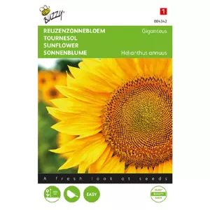 Helianthus annuus uniflorus giga 4g