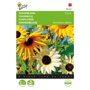 Helianthus cucumerifolius mix 1g