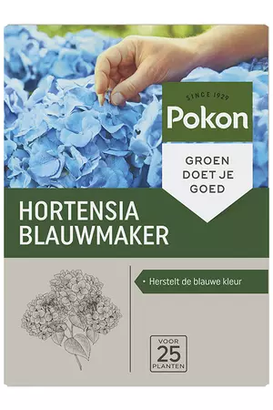 Hortensia blauwm 500g - afbeelding 1