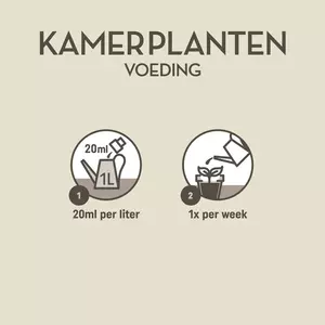 Kamerplanten 1000ml - afbeelding 3