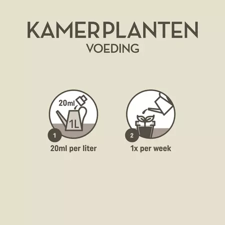 Kamerplanten 500ml - afbeelding 3