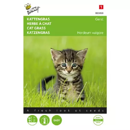 Kattengras 10g - afbeelding 1