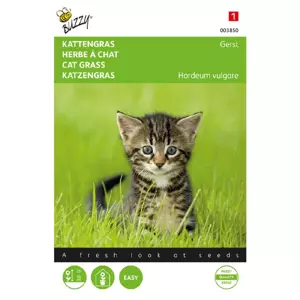 Kattengras 10g - afbeelding 1
