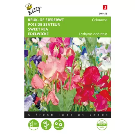 Lathyrus multif. colorama 5g