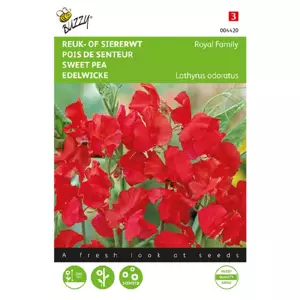 Lathyrus od royal family rood 4g