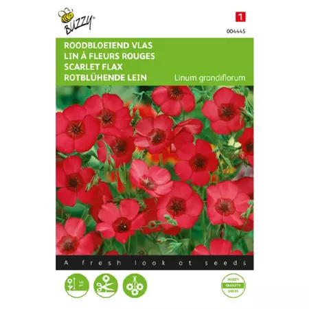 Linum rubrum grandiflorum rood 1.5g