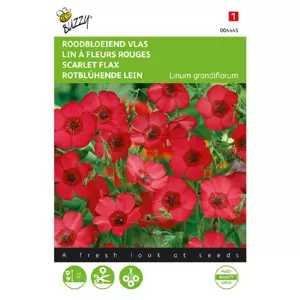 Linum rubrum grandiflorum rood 1.5g