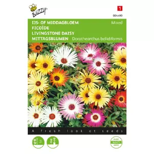 Mesembryanthemum dorotheanthus 0.5g