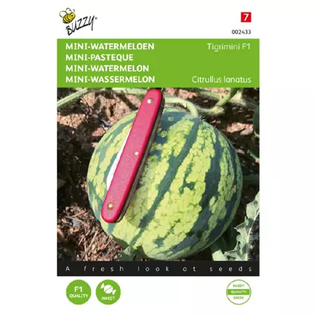 Mini-watermeloen tigrimini 6zdn - afbeelding 1