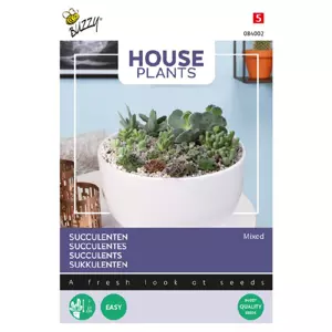 Mixed succulents vetplanten - afbeelding 2