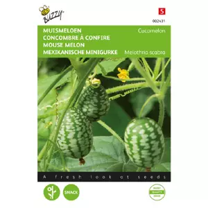 Muis meloen cucamelon 15zdn - afbeelding 3