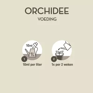 Orchidee voeding 500ml - afbeelding 3