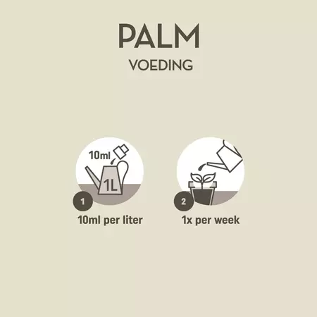 Palm voeding 250ml - afbeelding 3