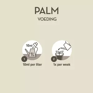 Palm voeding 250ml - afbeelding 3