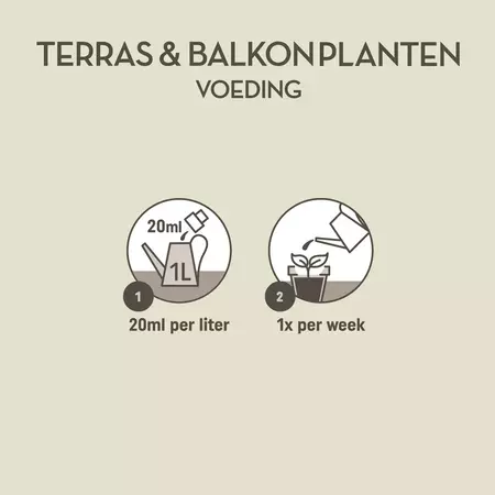 Palm voeding 250ml - afbeelding 4