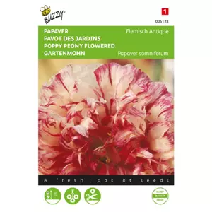 Papaver flemish antique 0.25g - afbeelding 1