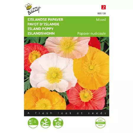 Papaver nudicaule excels. mix 0.3g - afbeelding 1
