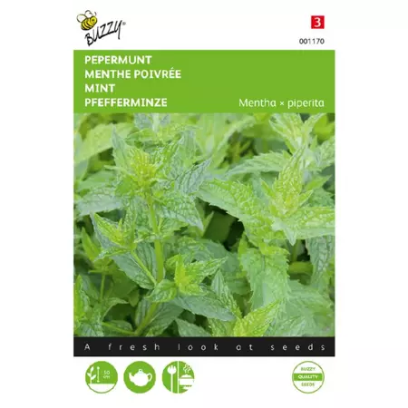 Pepermunt 0.08g - afbeelding 1