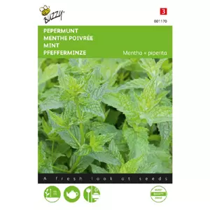 Pepermunt 0.08g - afbeelding 1