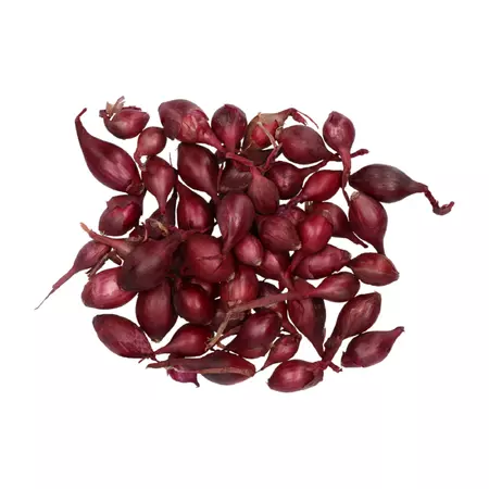 Plantui romy 250g - afbeelding 3