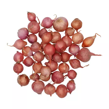 Plantui rosanna 250g - afbeelding 3