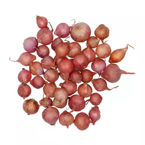 Plantui rosanna 250g - afbeelding 3