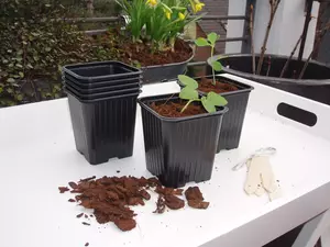 Plastic stekpotjes h6b7l7cm - afbeelding 3
