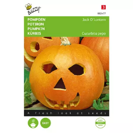 Pompoen jack olantern 2g