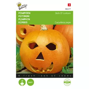 Pompoen jack olantern 2g