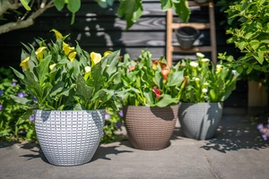 Pot nanda d29h22cm concrete - afbeelding 2