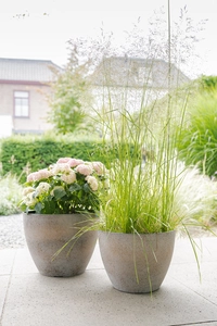 Pot nova d29h22cm concrete gold - afbeelding 2