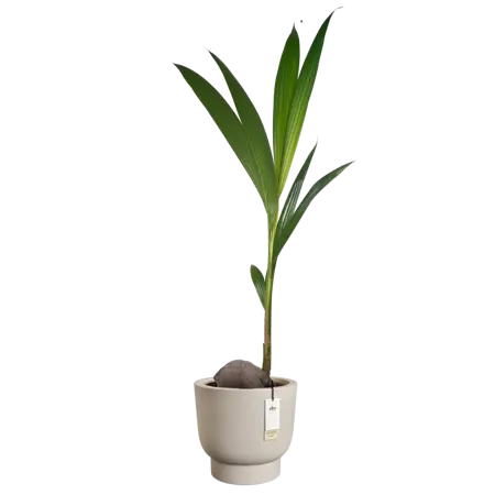 Pot pc amber grail d30cm blncdbeige - afbeelding 4