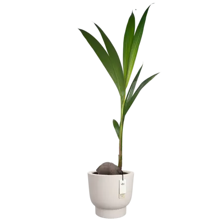 Pot pc amber grail d30cm linnen wit - afbeelding 4