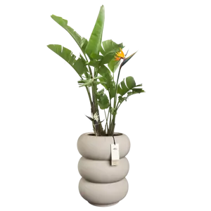 Pot pc amber roll d43h58cm b.beige - afbeelding 3