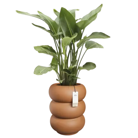 Pot pc amber roll d43h58cm karamel - afbeelding 3