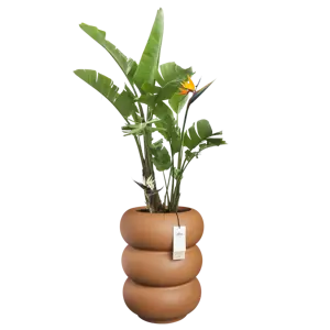 Pot pc amber roll d43h58cm karamel - afbeelding 5