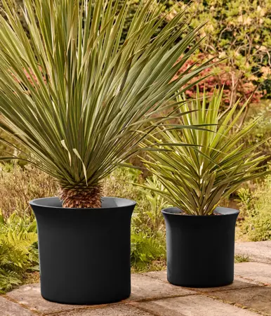 Pot pc june tulip d40h42cm zwart - afbeelding 9