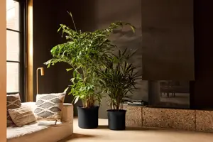 Pot pc june tulip d40h42cm zwart - afbeelding 8