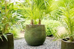 Pot rania d27h25cm forest - afbeelding 3