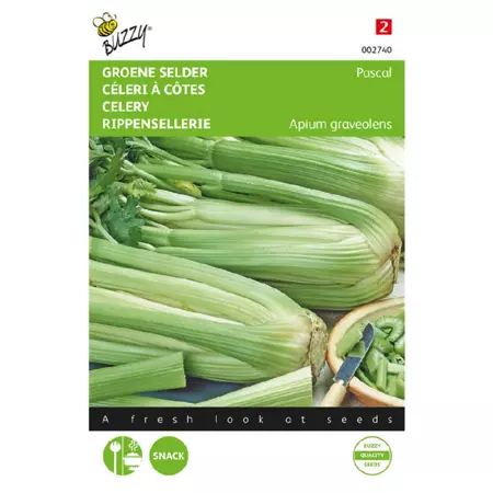 Selder pascal. groene volpijp 1g