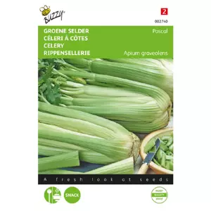 Selder pascal. groene volpijp 1g