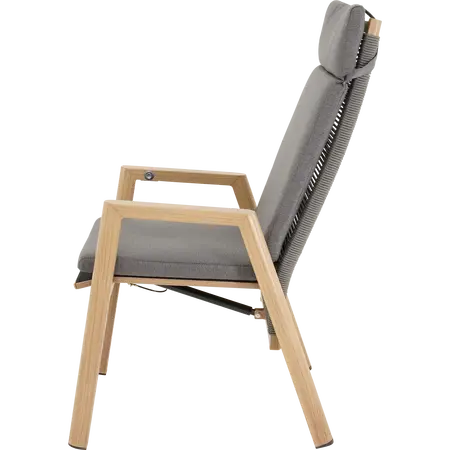 Standenstoel acari - afbeelding 3