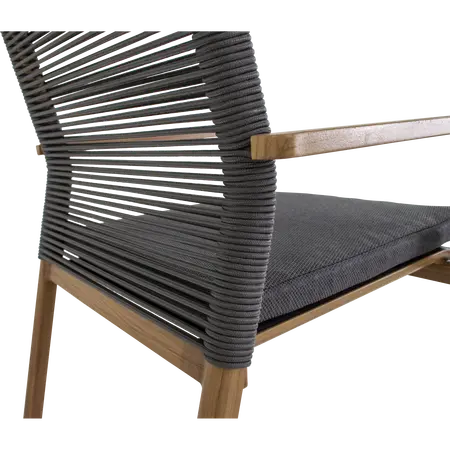 Standenstoel acari - afbeelding 18