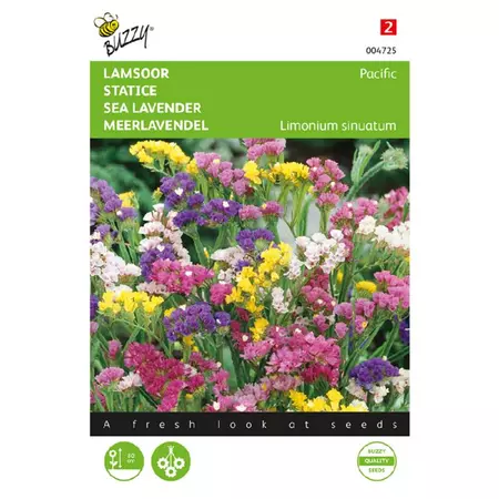 Statice sinuata pacific 0.25g - afbeelding 1