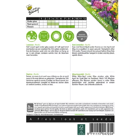 Statice sinuata pacific 0.25g - afbeelding 2